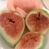 Buonarotti G.